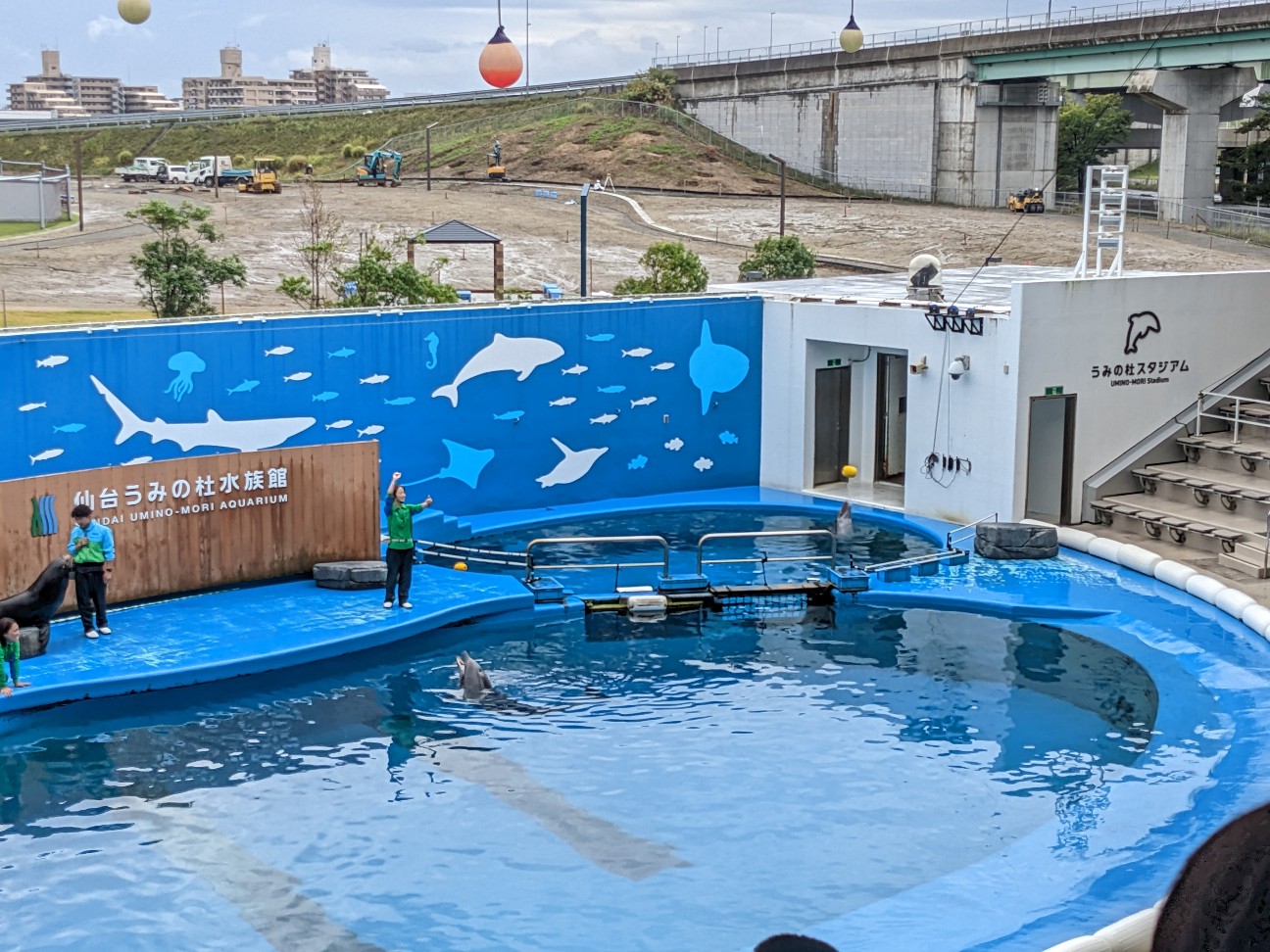 f:id:ranchou:20251207141844j:image