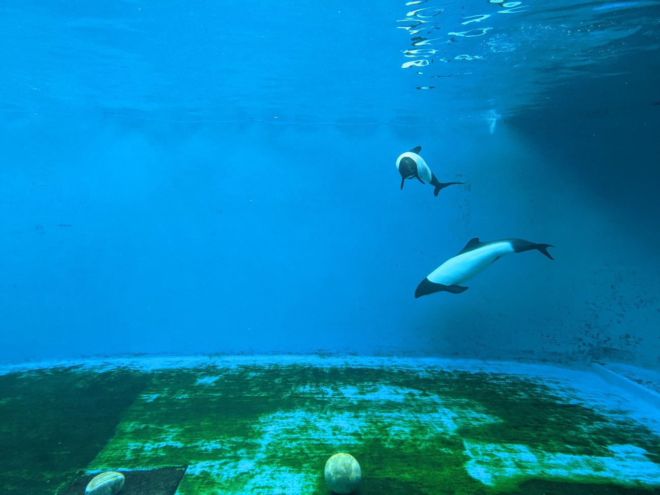 f:id:ranchou:20251207141852j:image