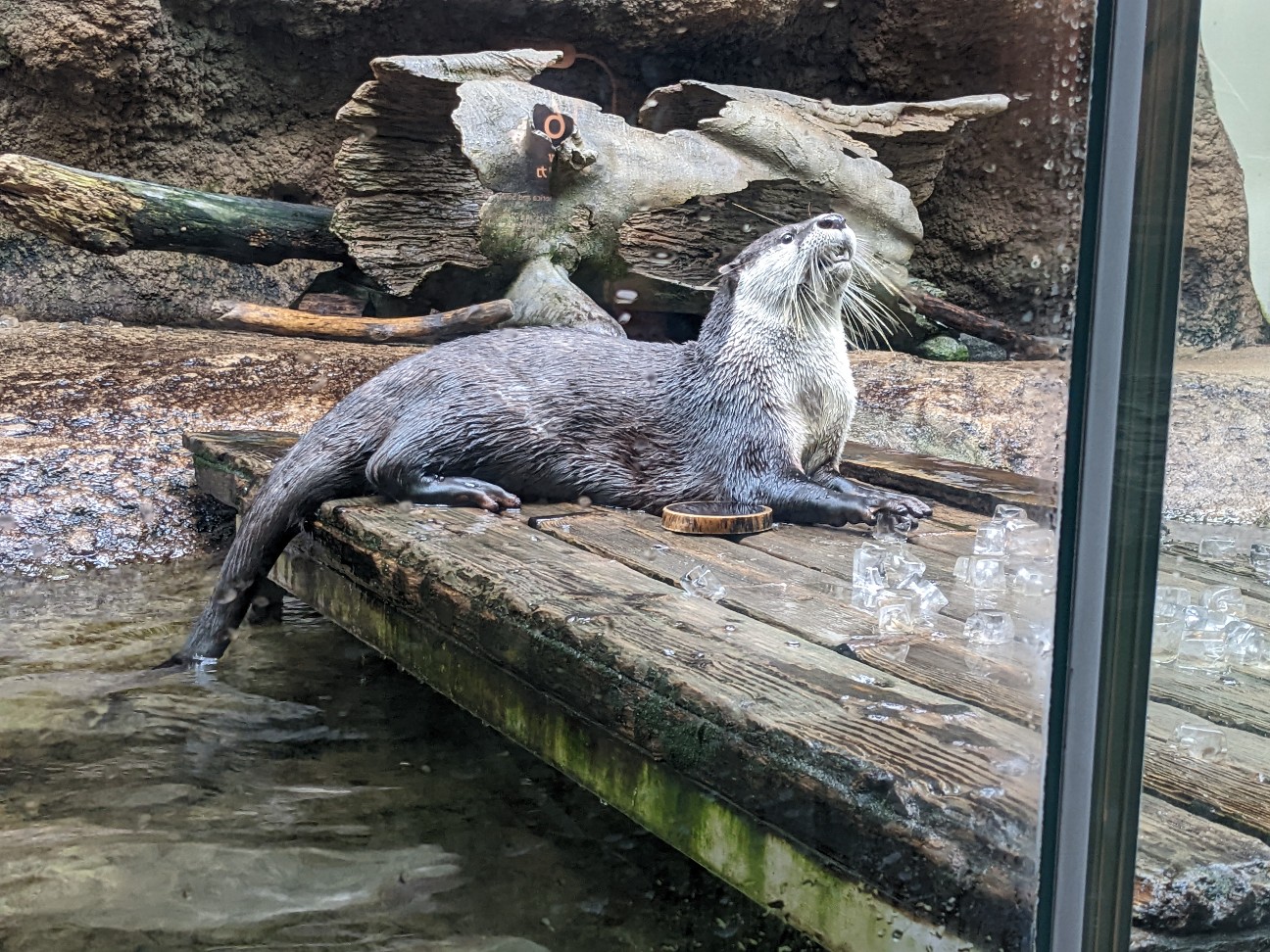 f:id:ranchou:20251207142421j:image