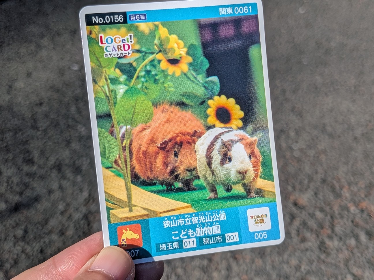 f:id:ranchou:20251207193918j:image