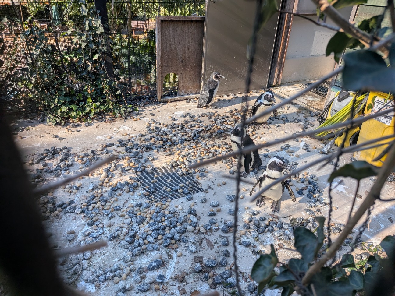 f:id:ranchou:20251207194016j:image