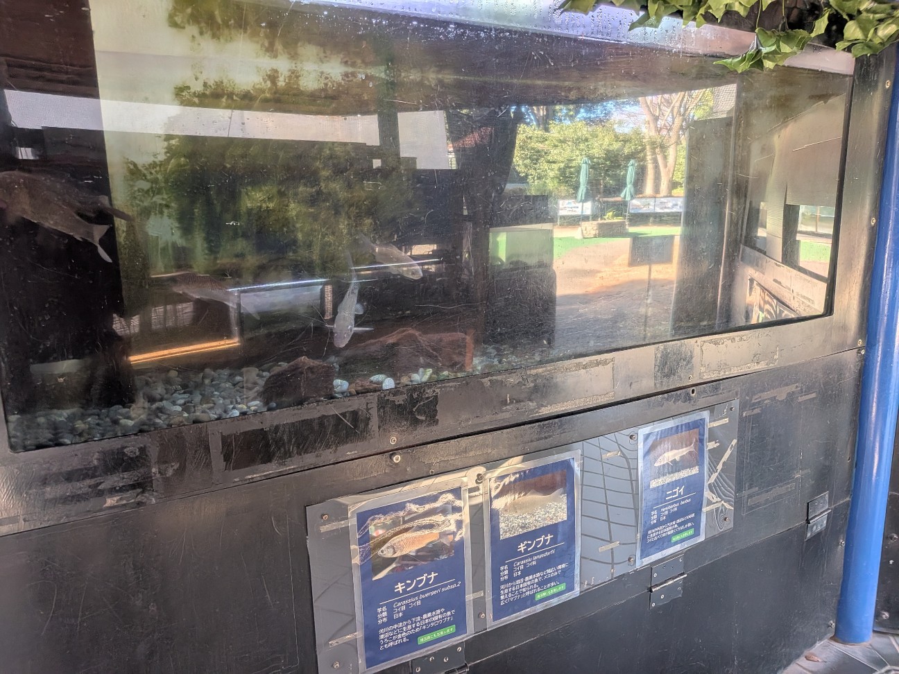 f:id:ranchou:20251207194122j:image