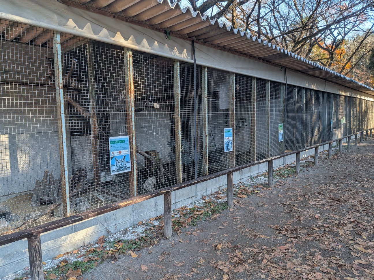 f:id:ranchou:20251207194246j:image