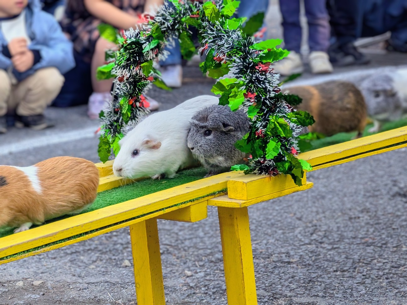 f:id:ranchou:20251207194620j:image