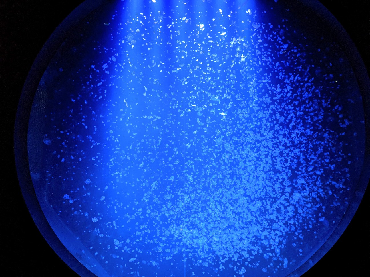 f:id:ranchou:20251210184634j:image f:id:ranchou:20251210184634j:image