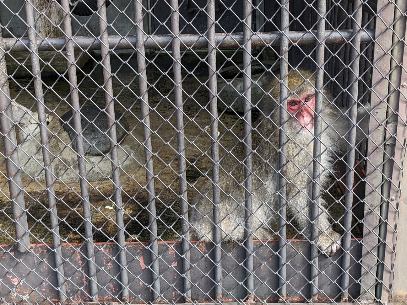 f:id:ranchou:20251211193404j:image