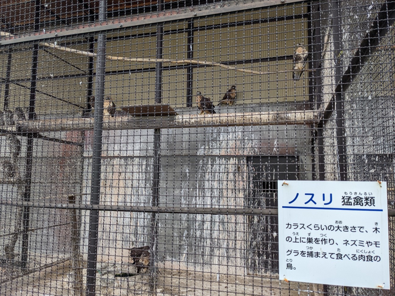 f:id:ranchou:20251211193429j:image