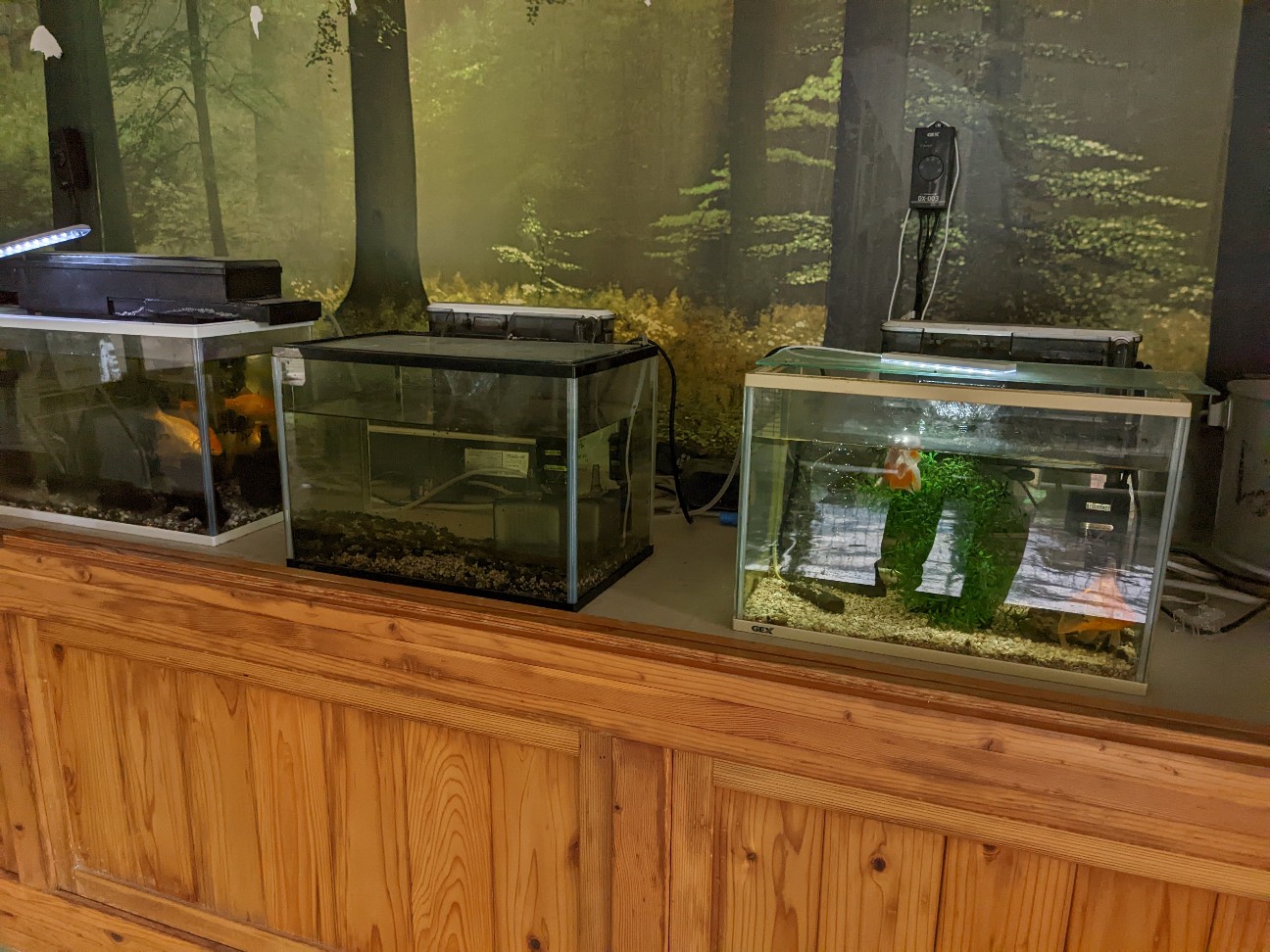 f:id:ranchou:20251211193439j:image