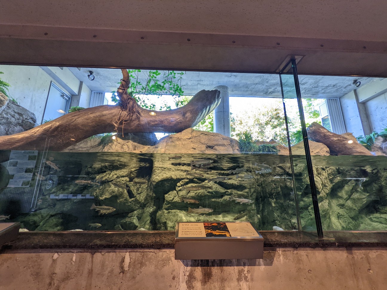 f:id:ranchou:20251214170815j:image f:id:ranchou:20251214170815j:image