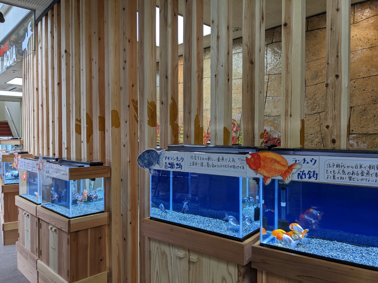 f:id:ranchou:20251217194244j:image