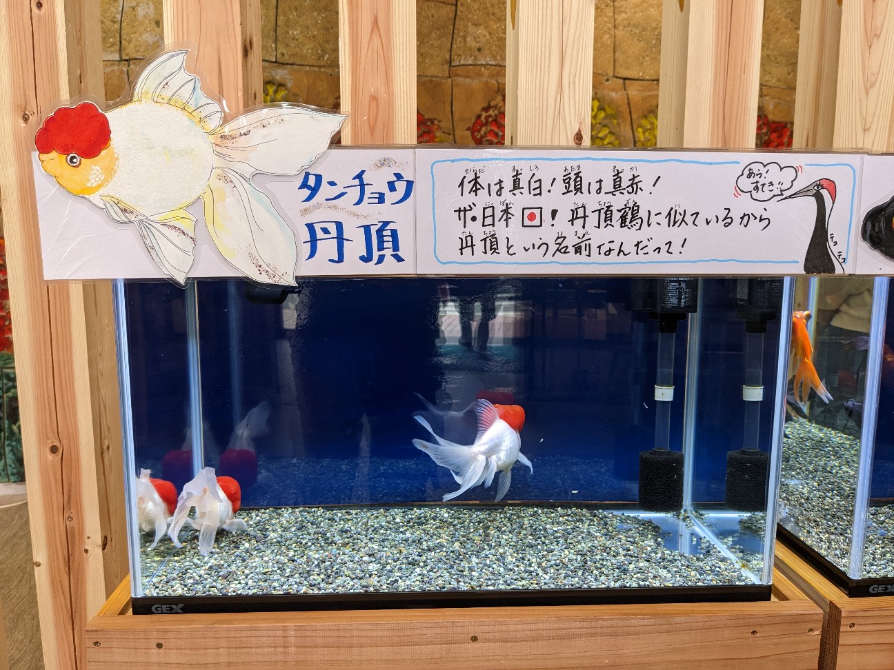 f:id:ranchou:20251217194259j:image