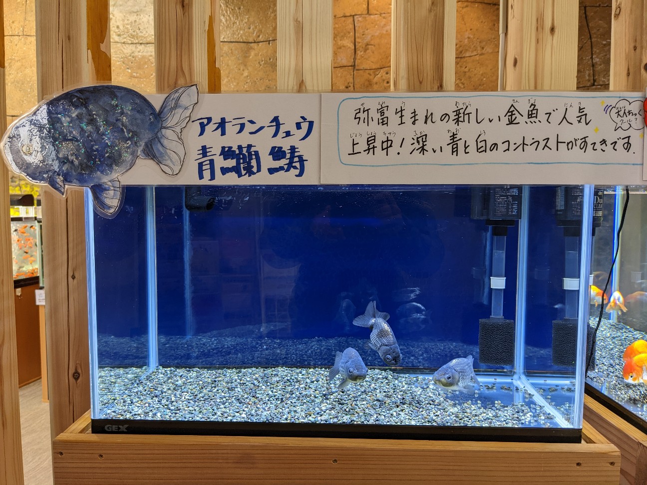 f:id:ranchou:20251217194308j:image