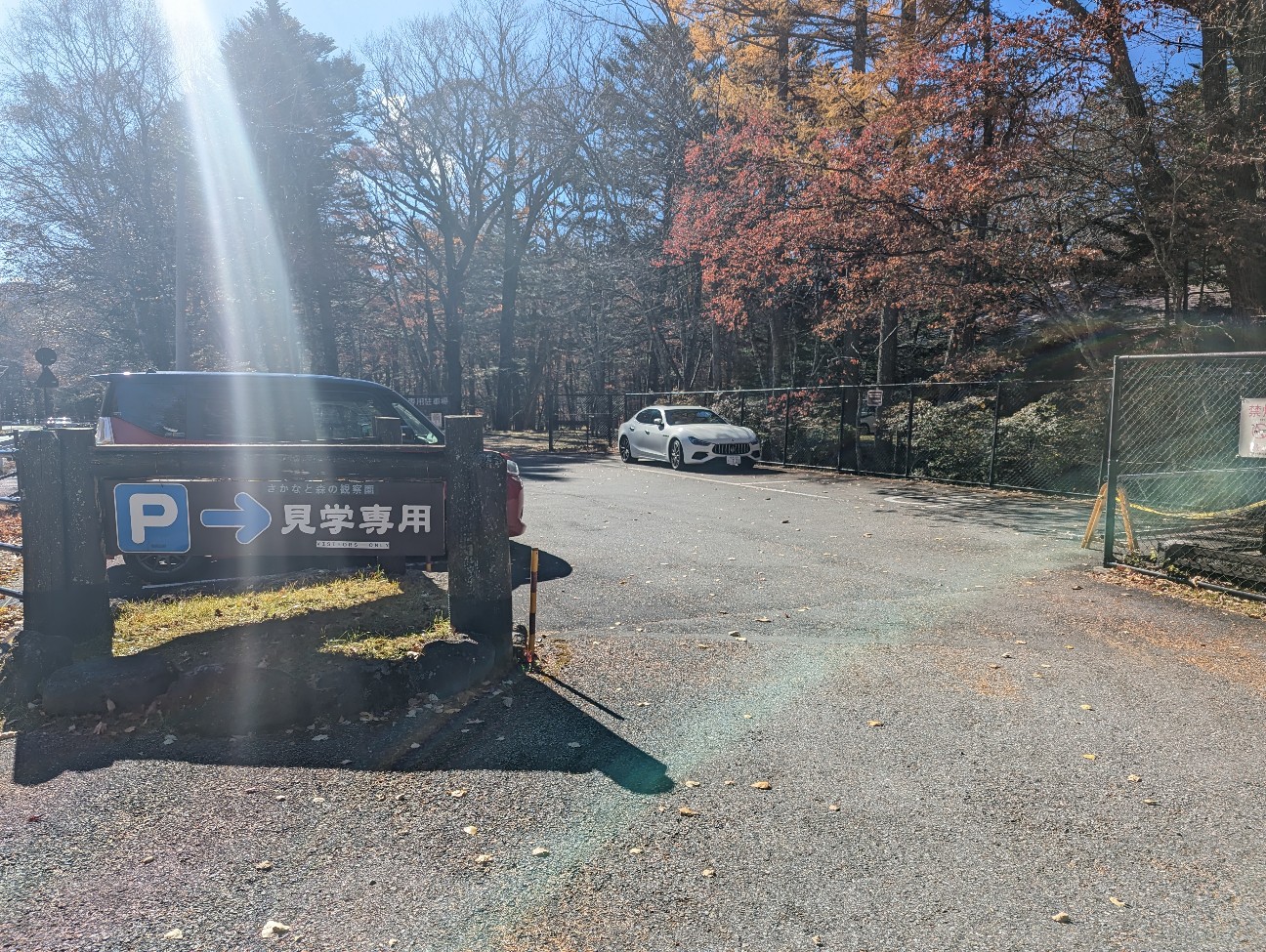 f:id:ranchou:20251220152601j:image