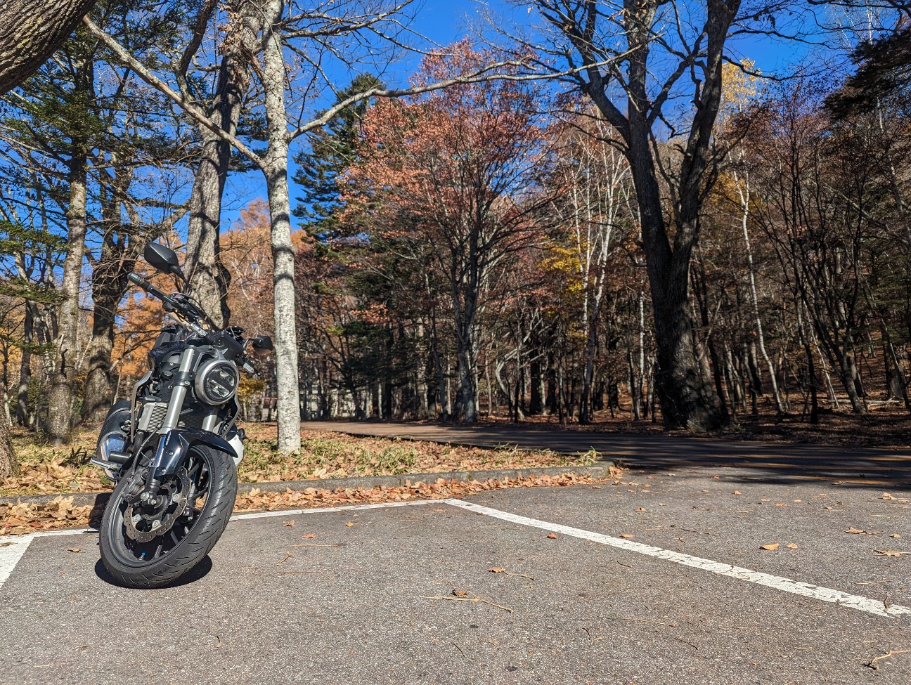 f:id:ranchou:20251220152817j:image