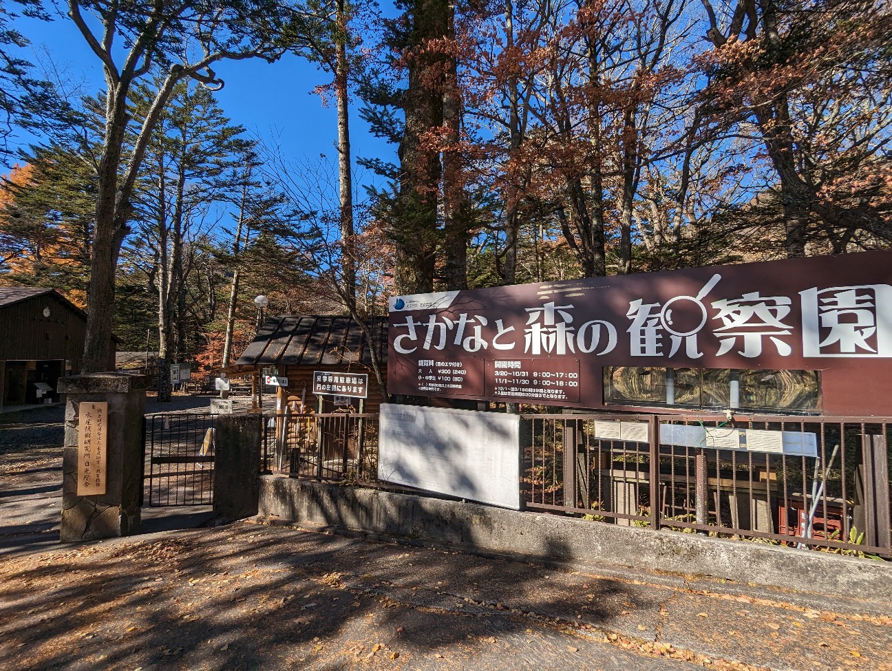 f:id:ranchou:20251220152913j:image