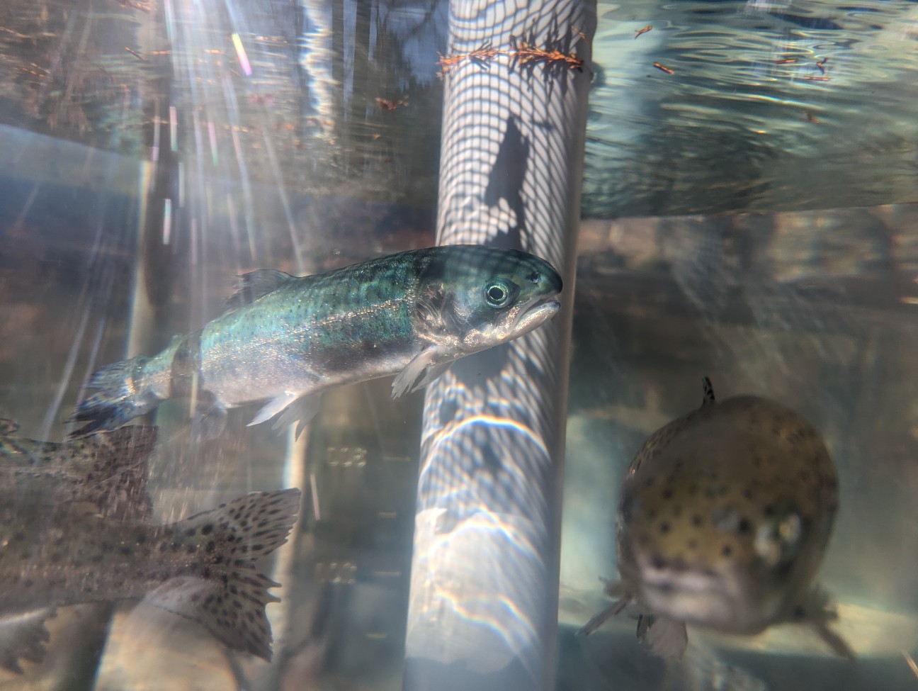 f:id:ranchou:20251220153058j:image