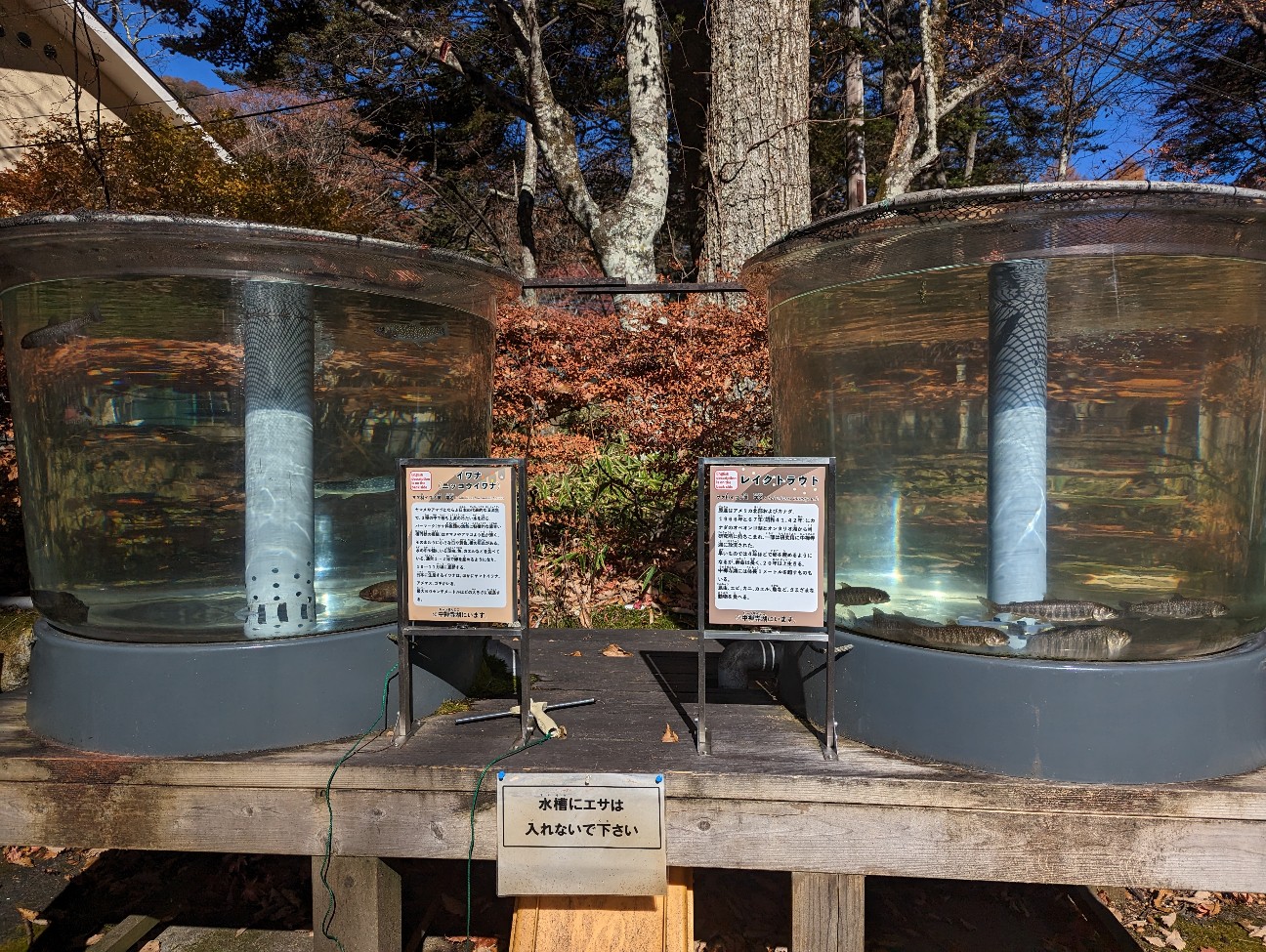 f:id:ranchou:20251220153128j:image