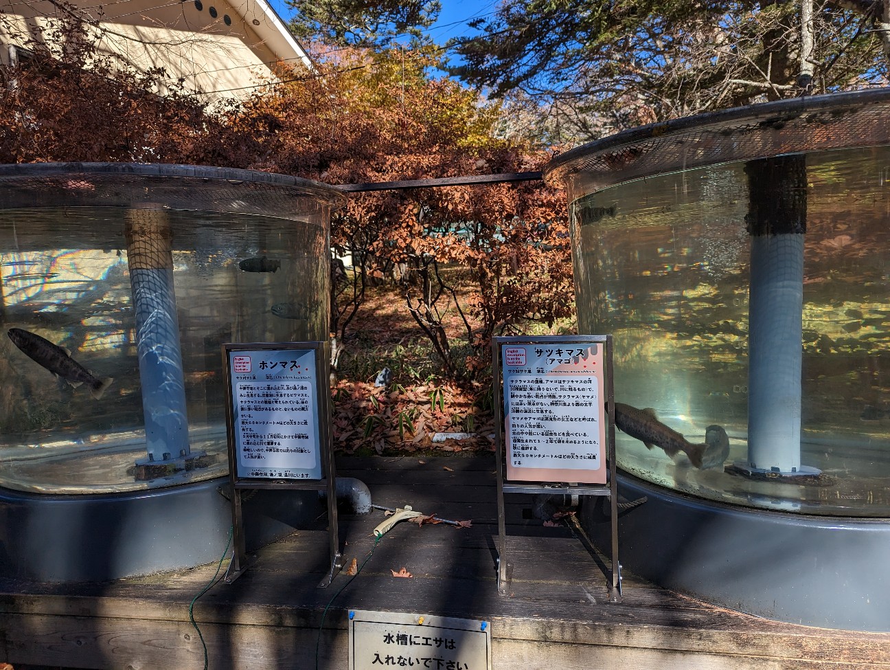 f:id:ranchou:20251220153140j:image