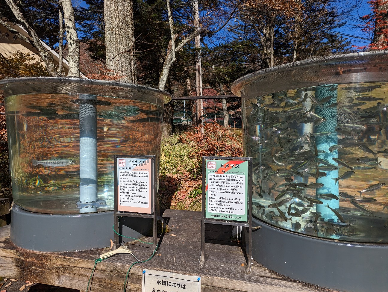 f:id:ranchou:20251220153219j:image