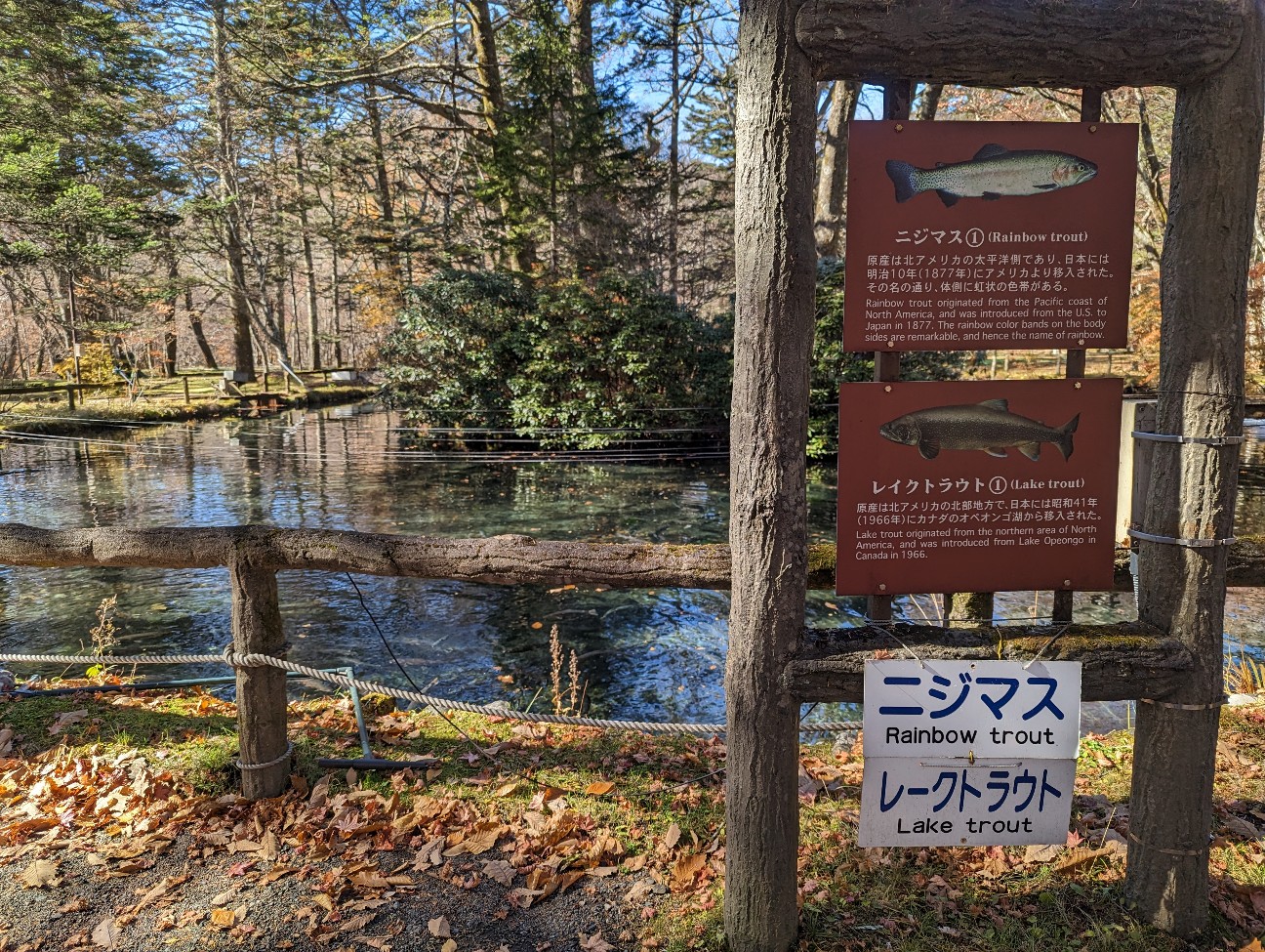 f:id:ranchou:20251220153321j:image