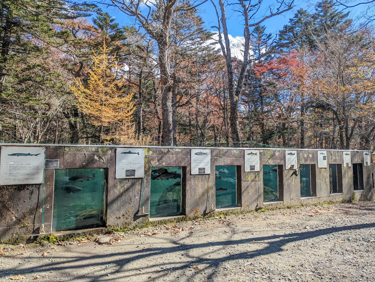 f:id:ranchou:20251220153405j:image