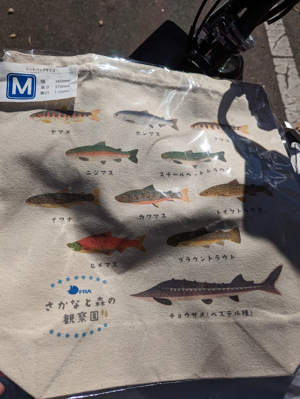 f:id:ranchou:20251220153452j:image