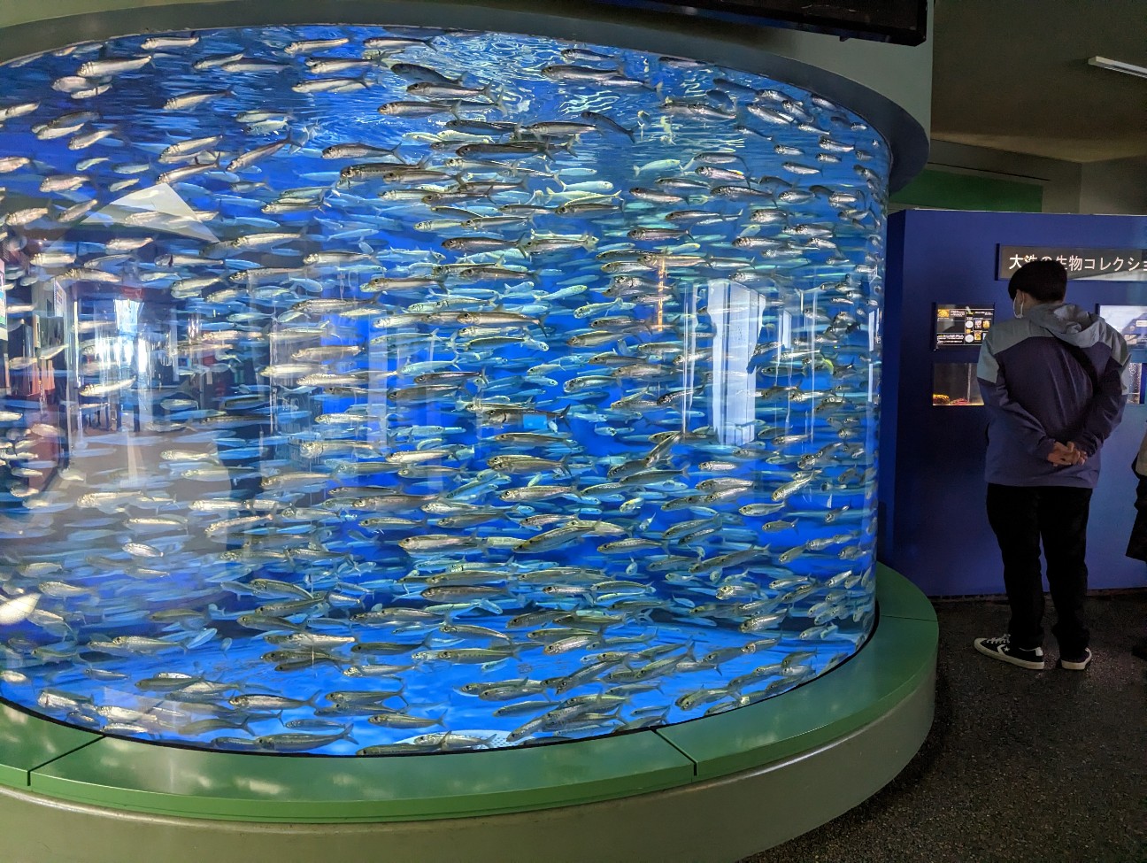 f:id:ranchou:20251221165916j:image