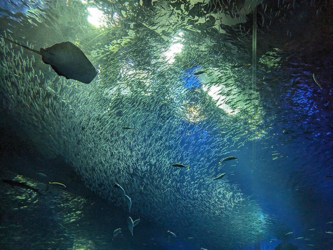 f:id:ranchou:20251221165929j:image