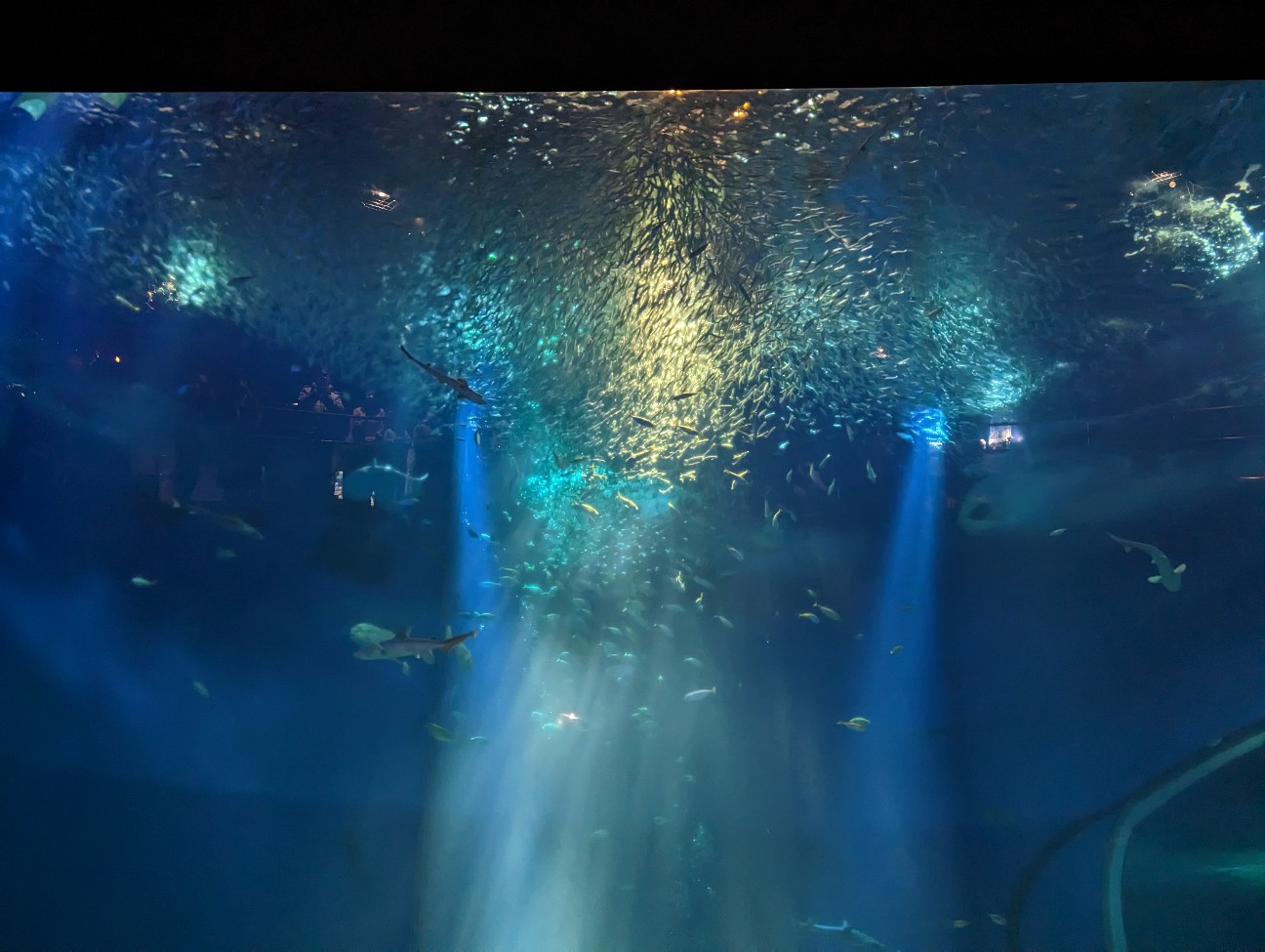 f:id:ranchou:20251221170118j:image