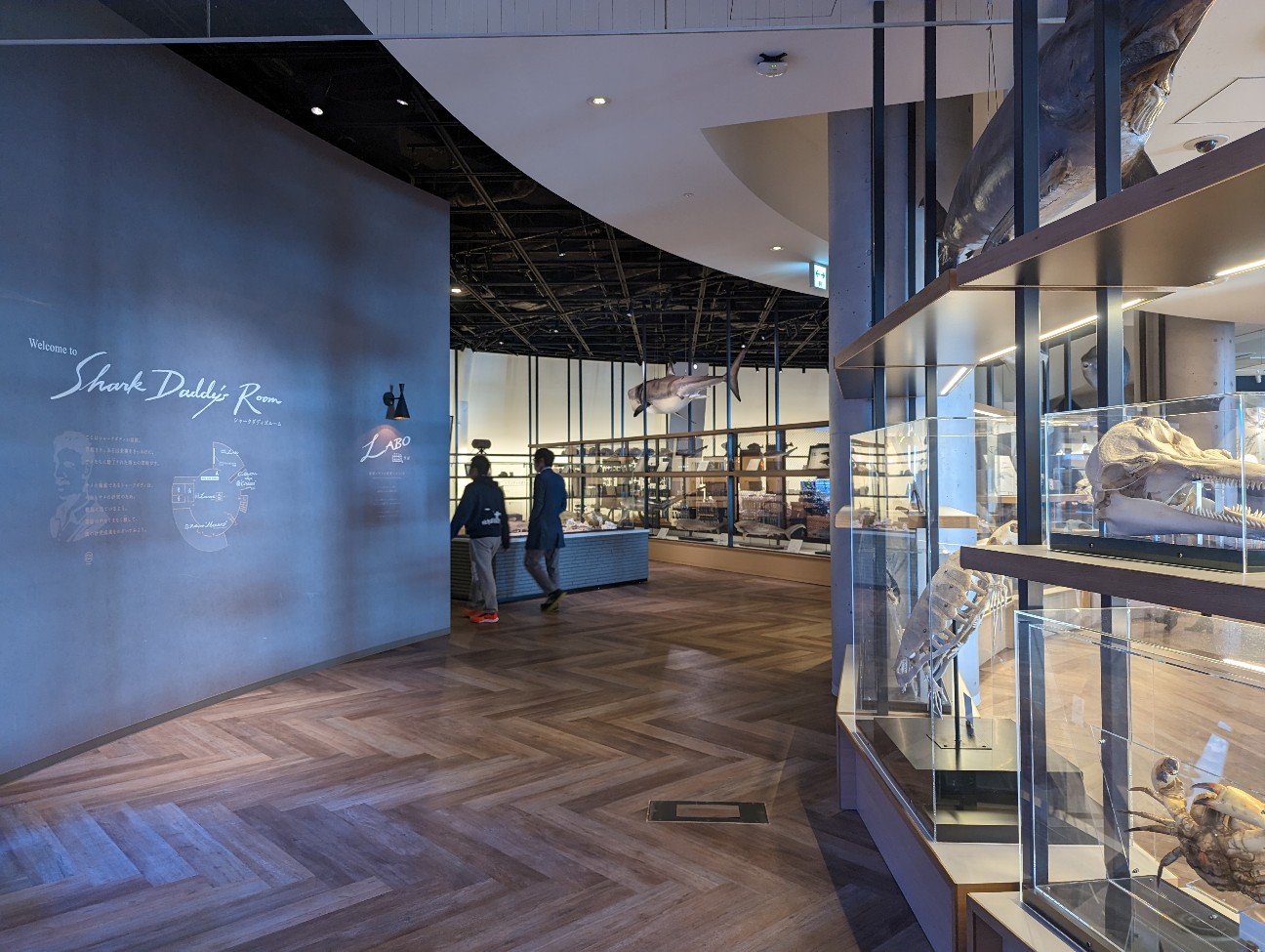 f:id:ranchou:20251221170126j:image