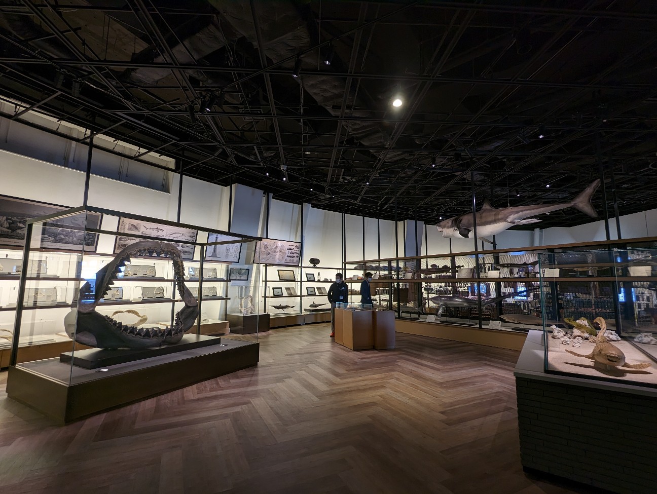 f:id:ranchou:20251221170140j:image