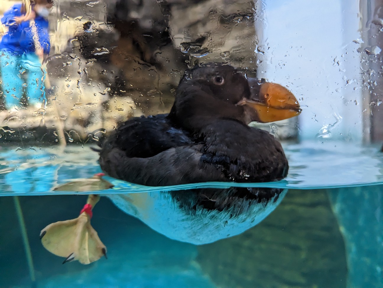 f:id:ranchou:20251221170238j:image