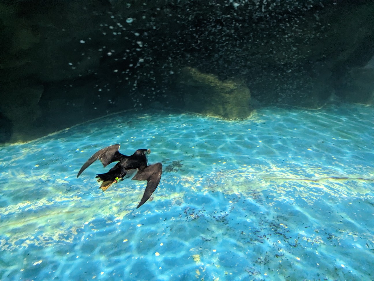 f:id:ranchou:20251221170252j:image