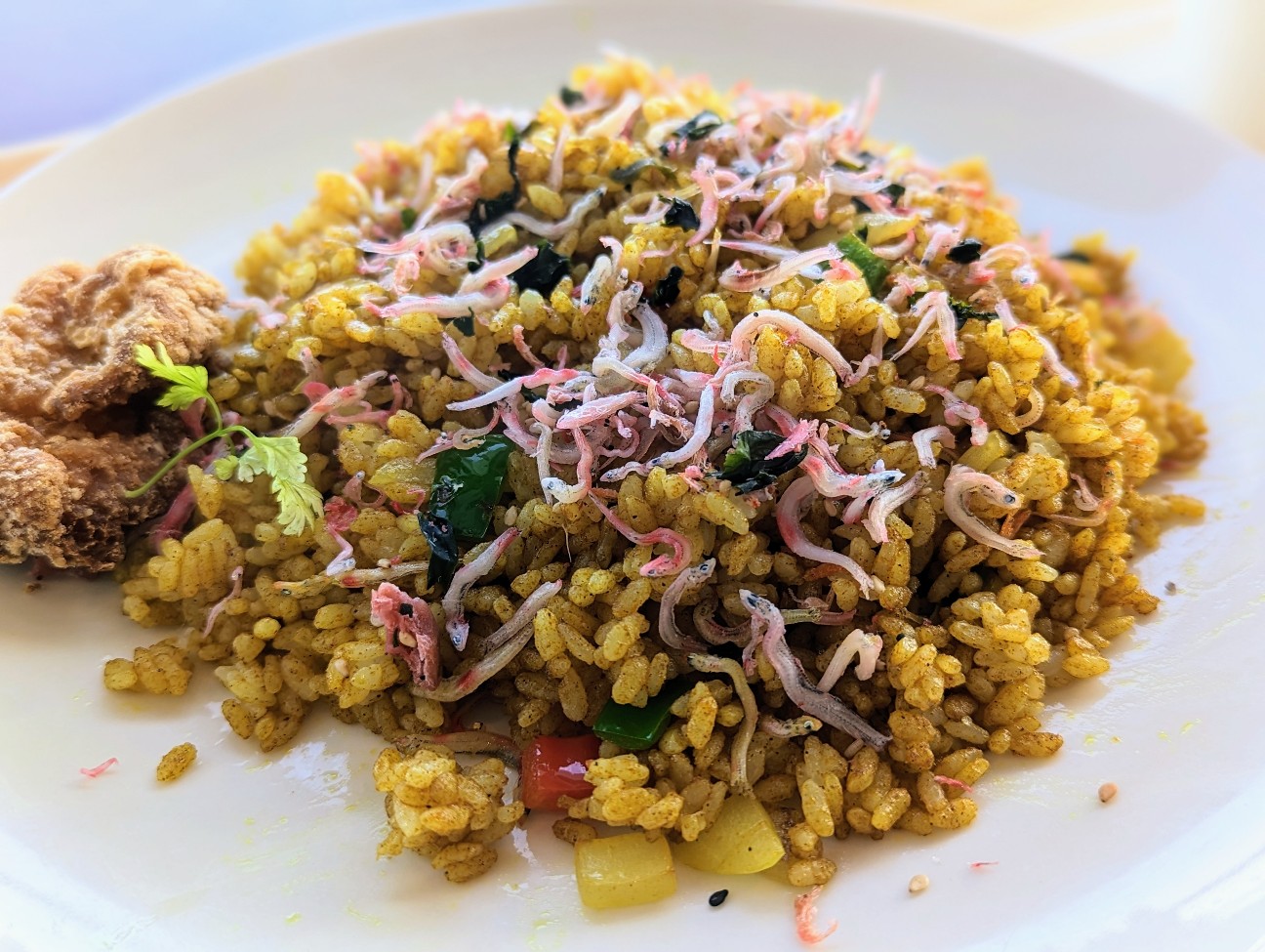 f:id:ranchou:20251221170331j:image