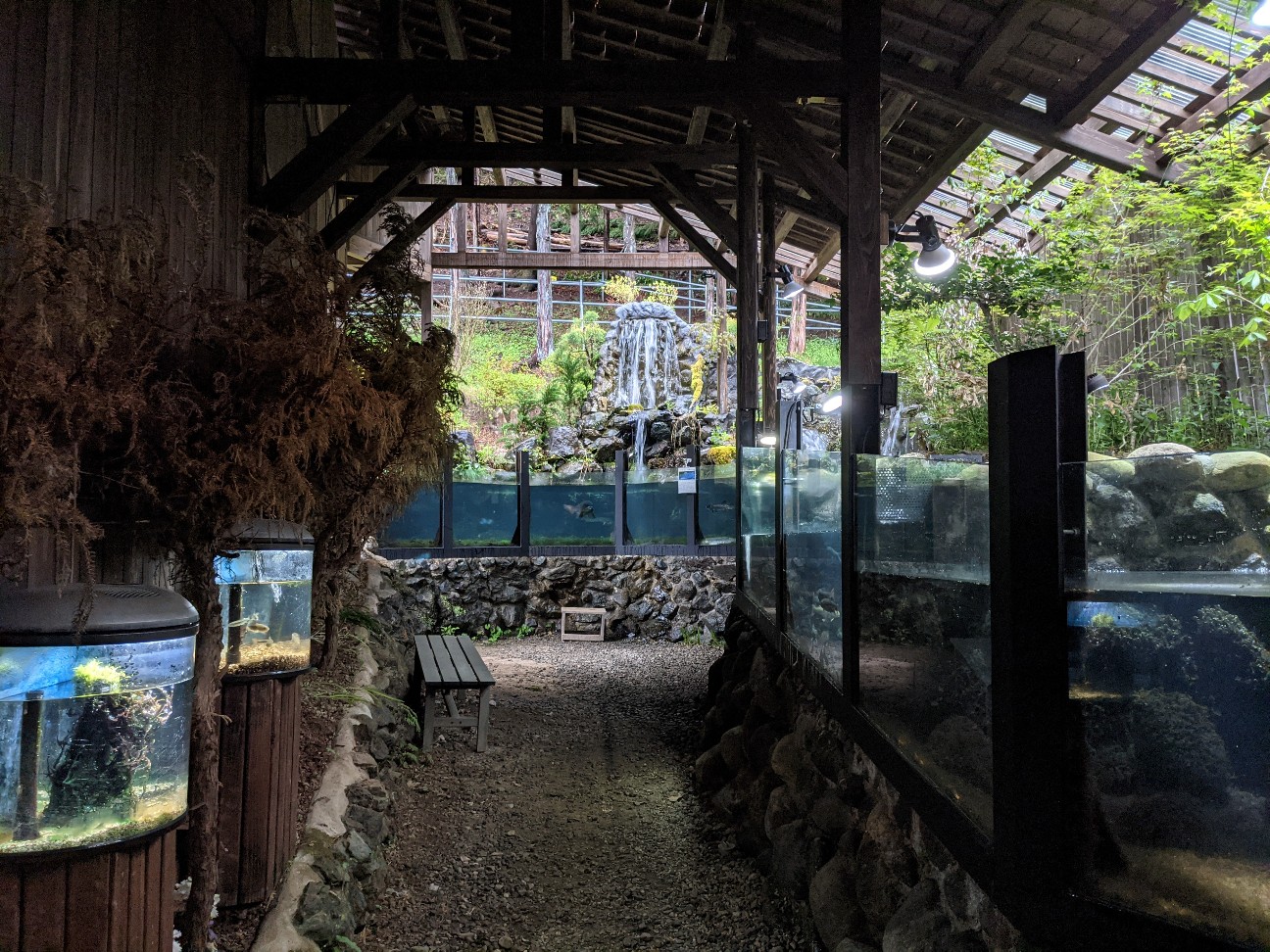 f:id:ranchou:20251221194710j:image