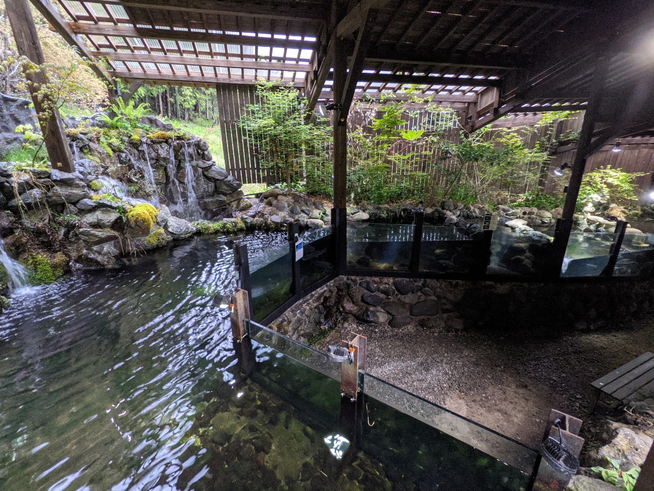 f:id:ranchou:20251221194719j:image