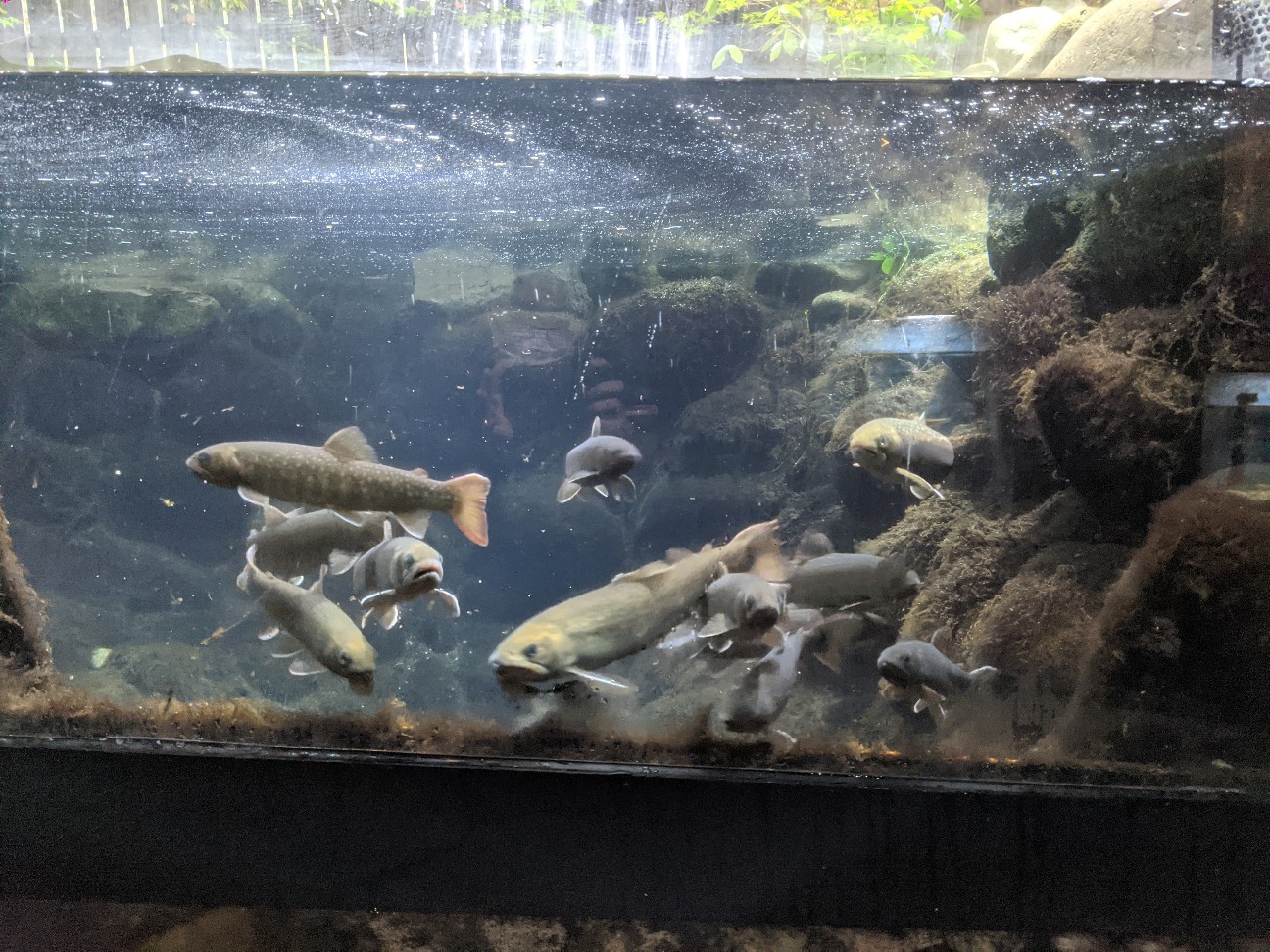 f:id:ranchou:20251221194731j:image