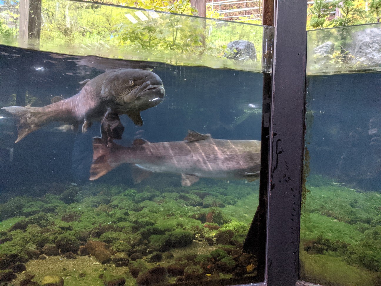 f:id:ranchou:20251221194741j:image