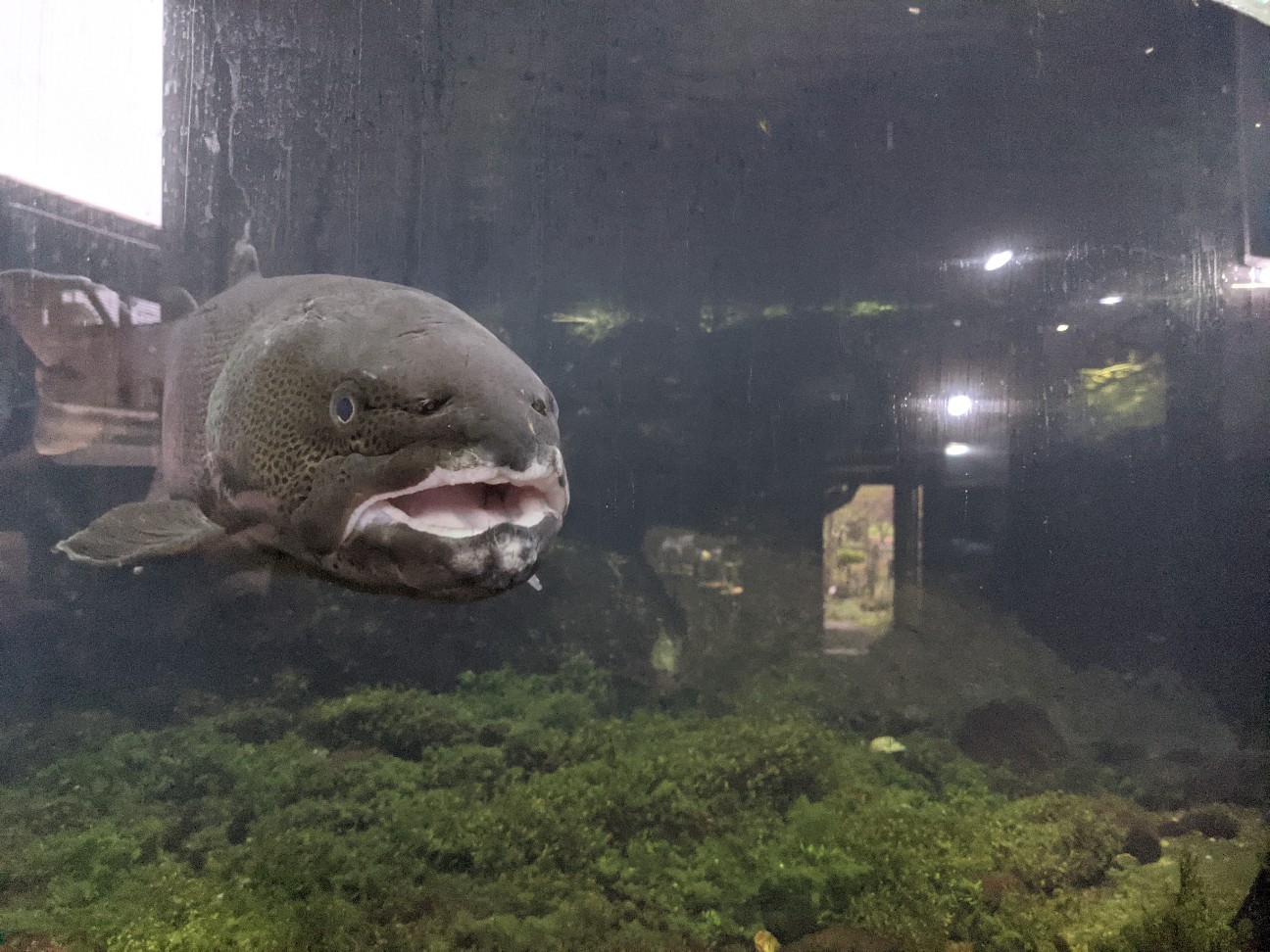 f:id:ranchou:20251221194750j:image