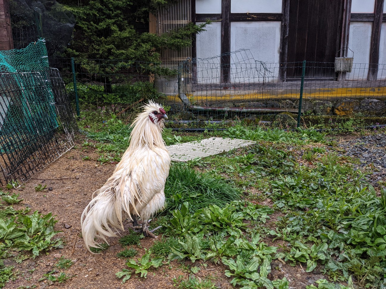 f:id:ranchou:20251221194905j:image