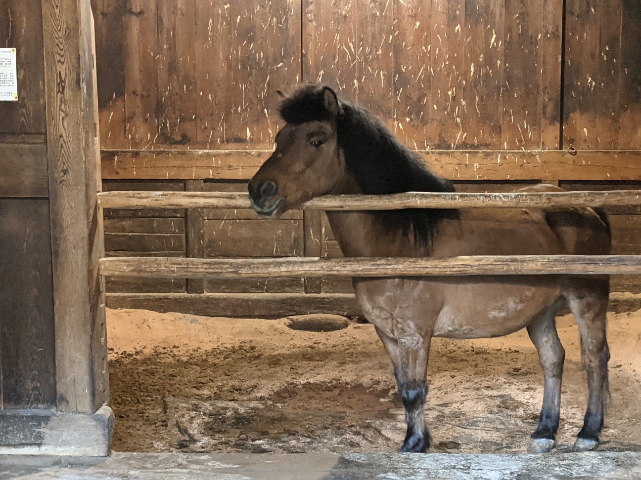 f:id:ranchou:20251221194920j:image