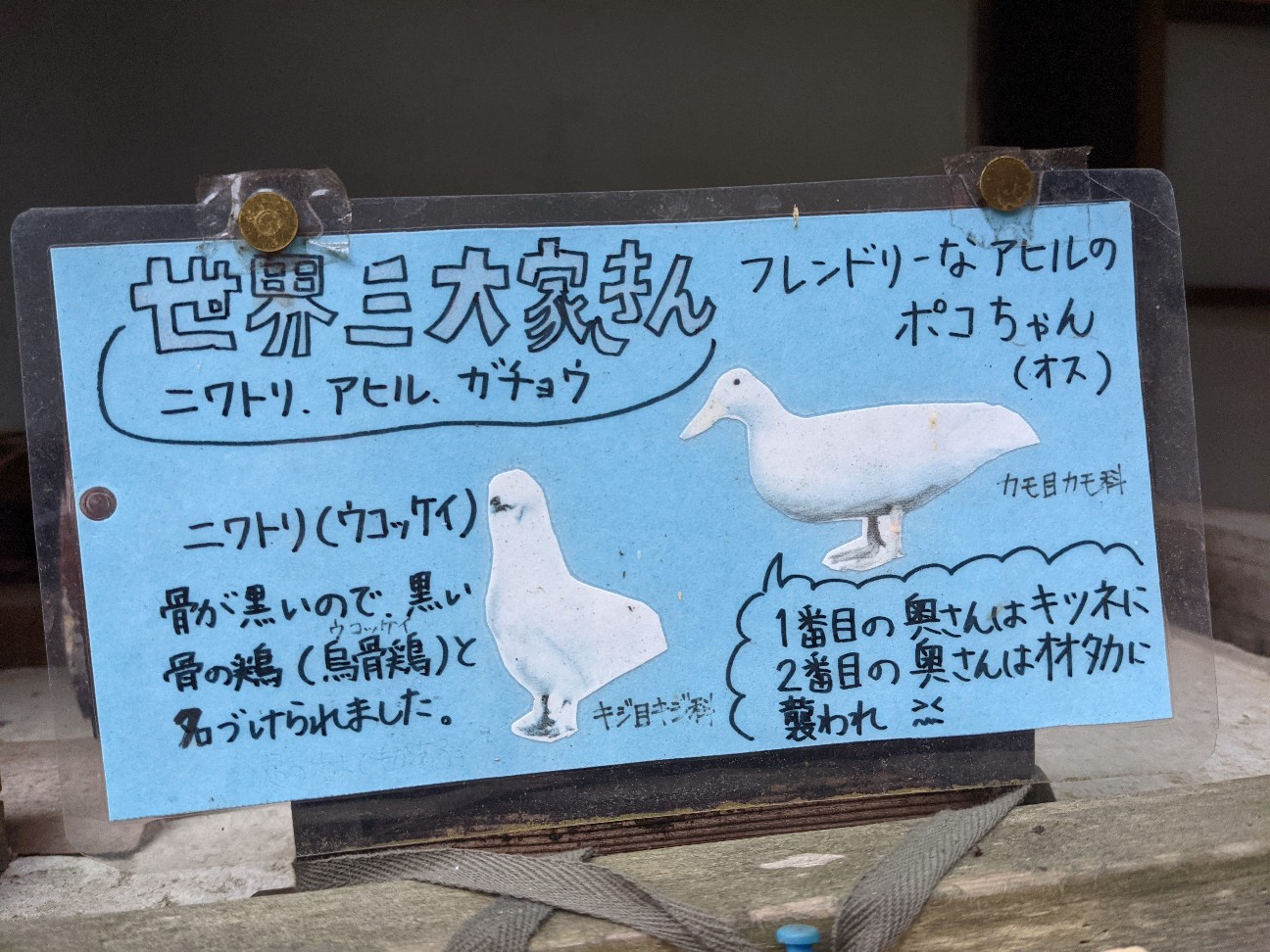 f:id:ranchou:20251221194928j:image