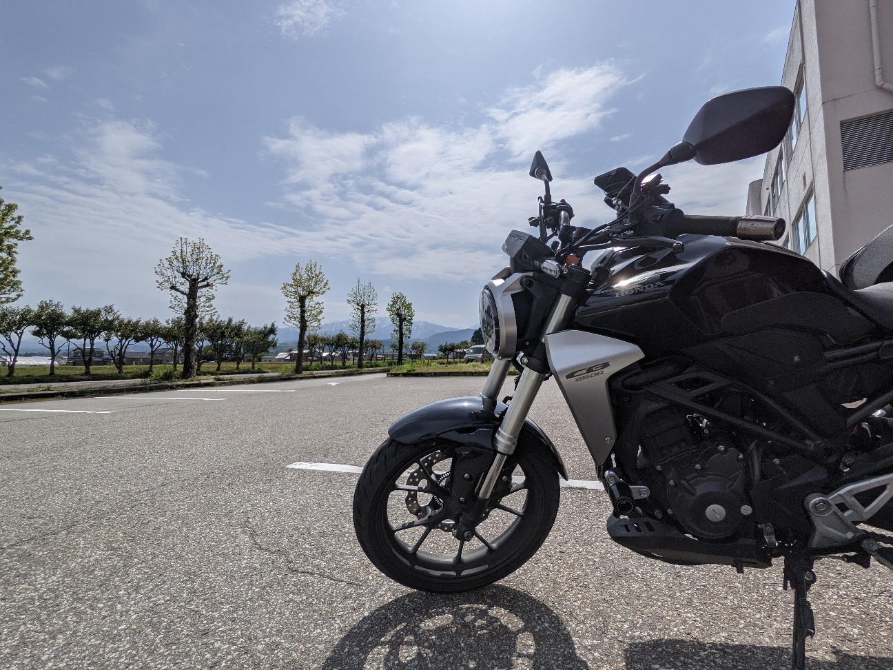 f:id:ranchou:20251221200301j:image