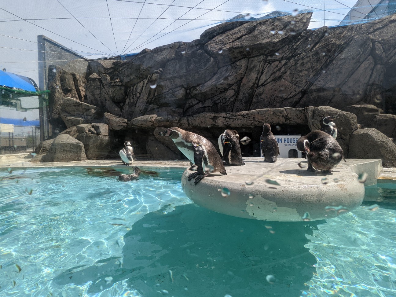 f:id:ranchou:20251221200416j:image