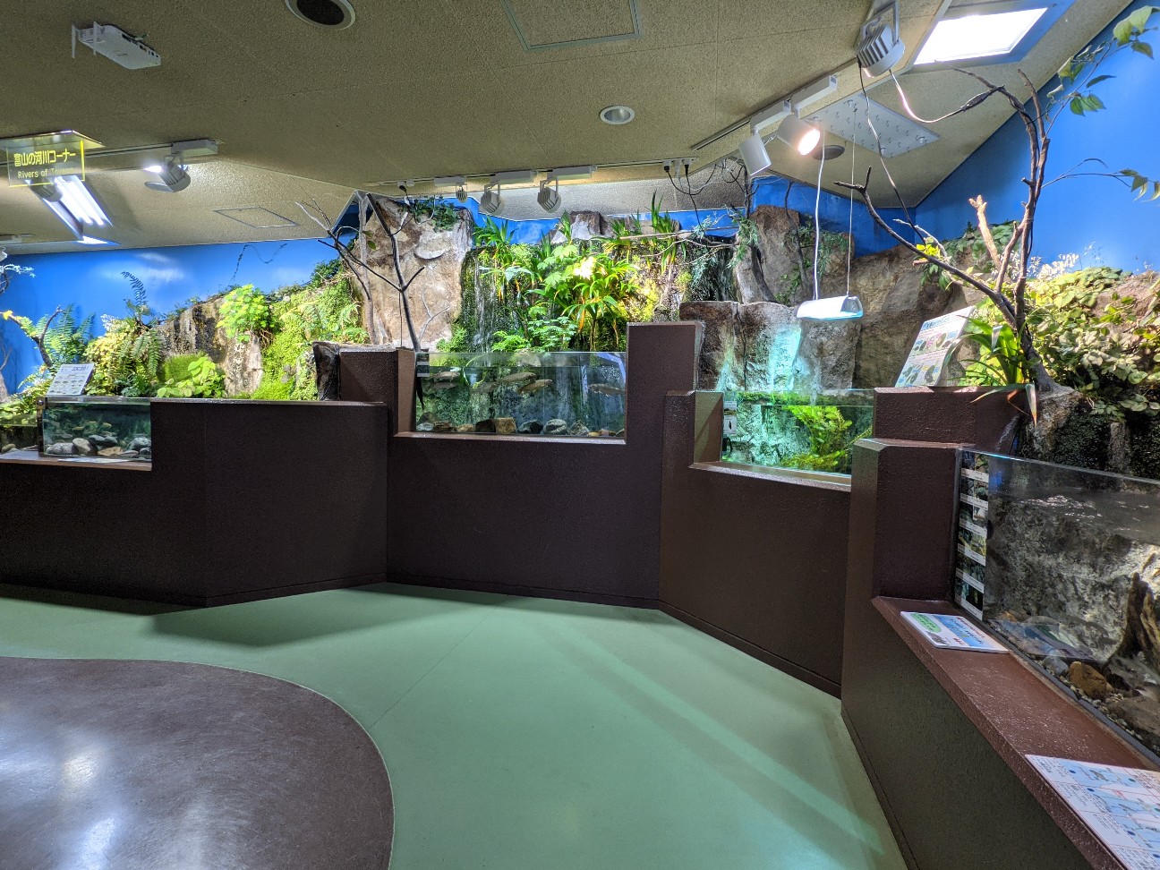 f:id:ranchou:20251221200442j:image