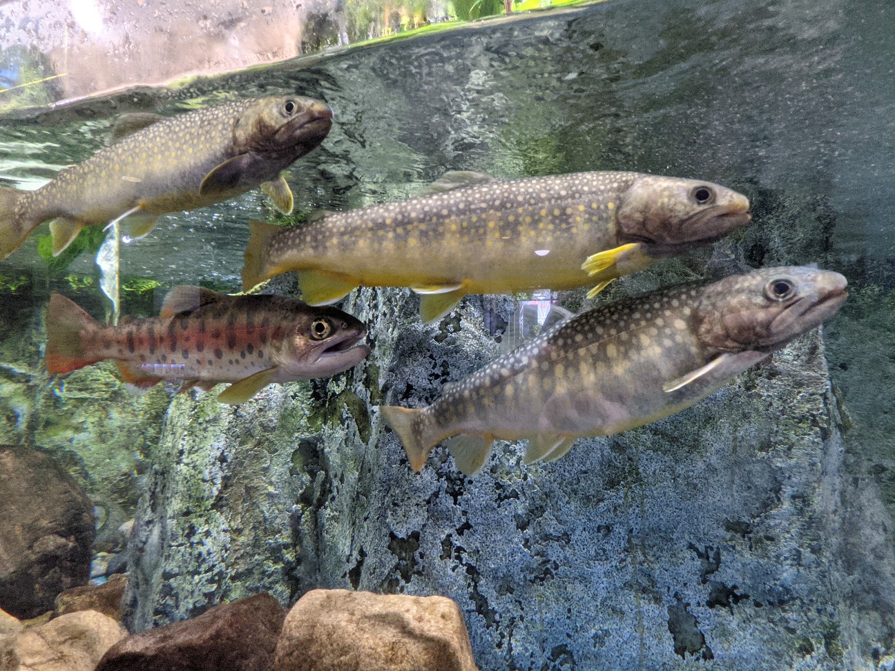 f:id:ranchou:20251221200456j:image