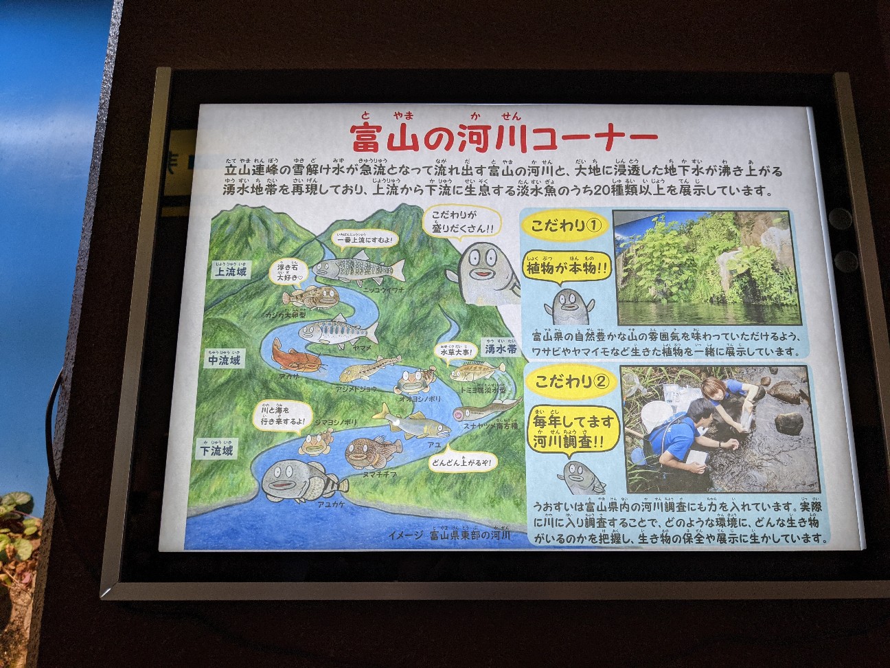 f:id:ranchou:20251221200505j:image