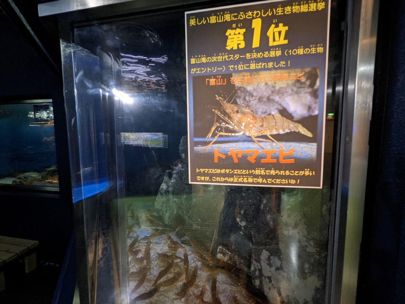 f:id:ranchou:20251221200530j:image