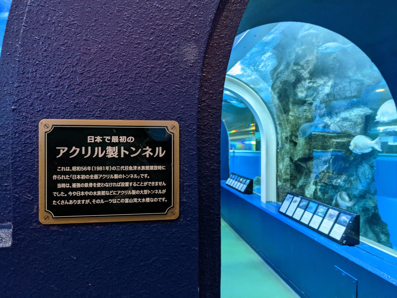 f:id:ranchou:20251221200638j:image