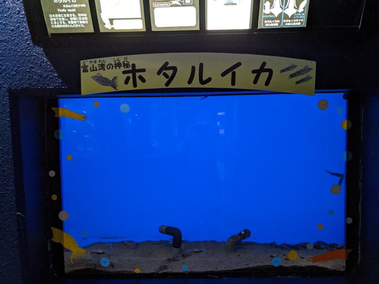 f:id:ranchou:20251221200734j:image